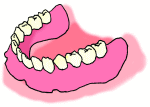 総入れ歯01