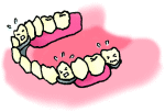 部分入れ歯01